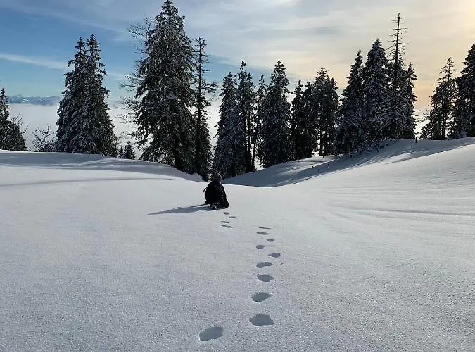 Du Cheval Blanc Hotell