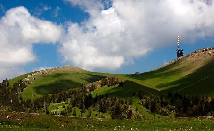 Hotel Du Cheval Blanc La Neuveville