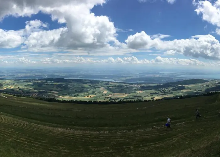 Hotel Du Cheval Blanc 3*